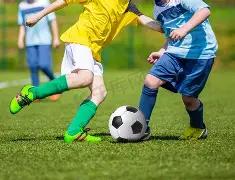 幸运四叶草,期大乐透攻,独家荐号,湖南体彩,湖南体彩网,湖南体彩网官网,体育彩票,体彩大乐透,竞彩足球,体彩公益