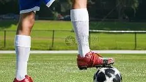 湖南体彩网 资讯 090433 wpm