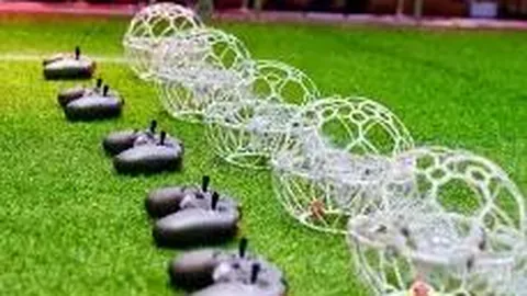 【独家揭秘】福彩双色球26年016期必中杀码红蓝球推荐：12、15、16，大奖近在咫尺！