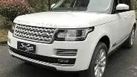 【独家预测】2026年1月19日双色球篮球三胆揭秘：08、09、15，必中大奖！