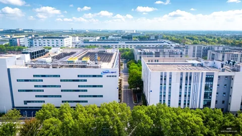 2077深度解析：老船长秘密行动与世界观文化亮点